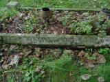 image of grave number 520141